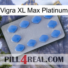 Vigra Xl Max Platinum 21